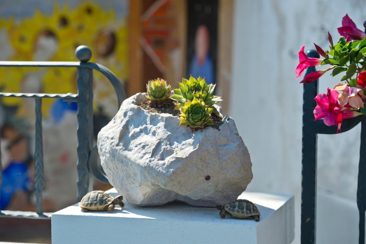 La Mela Blu Bed and Breakfast Furore Εξωτερικό φωτογραφία