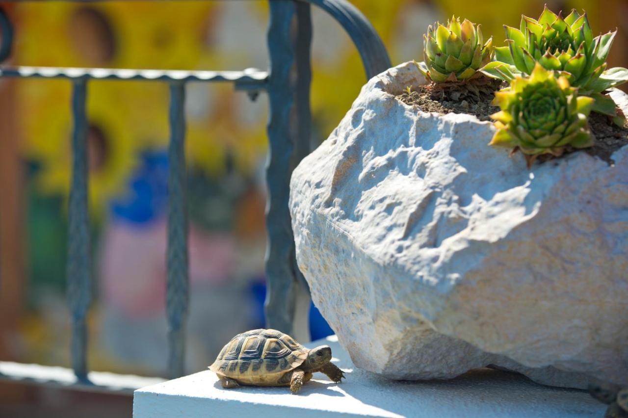 La Mela Blu Bed and Breakfast Furore Εξωτερικό φωτογραφία